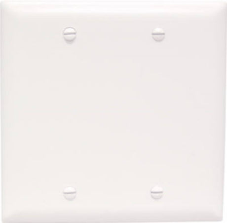 Legrand TradeMaster TP23WCC12 Blank Wallplate, 4-11/16 in L, 4-3/4 in W, 0.07 in Thick, 2 -Gang, Nylon