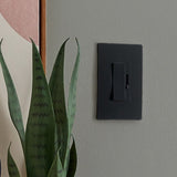 Legrand radiant Series RHL153PBKCC4 3-Way Dimmer, 1.25 A, 120 V, 150 W, CFL, Incandescent, LED Lamp, Black