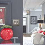 Pass & Seymour radiant Series RWP262NICC6 Wallplate, 4-1/2 in L, 4.96 in W, 2-Gang, Polycarbonate, Nickel, Metallic