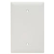 Legrand TradeMaster TPJ13W Blank Wallplate, 5.06 in L, 3.31 in W, 0.07 in Thick, 1 -Gang, Nylon, White