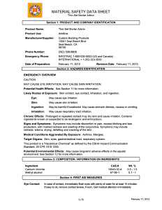 Custom AMA2 Thin-Set and Mortar Admix, Liquid, 2.5 gal, Bottle, Pack of 2