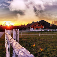 Farm & Ranch