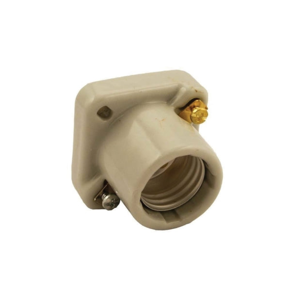 Leviton 19062 Lamp Holder, 1-Circuit, Keyless, 1-7/8 in Dia x 1-1/2 in D Dimensions, 250 V, 660 W, White