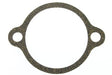 RELIEF VALVE PLATE GSKT @ 2, Pack of 2