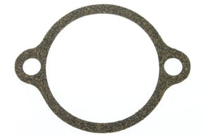 RELIEF VALVE PLATE GSKT @ 2, Pack of 2