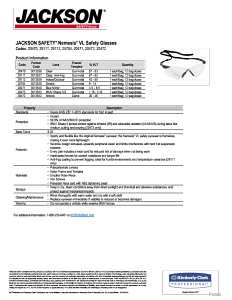 GLASSES SAFETY BLK/SMK NEMESIS