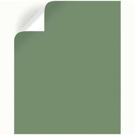 Magnolia Home by Joanna Gaines Magnolia Green Peel & Stick Color Sample, Pack of 25