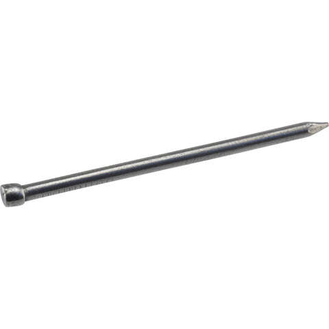 HILLMAN 6D 2 in. Finishing Polished Steel Nail Large Head, Pack of 6