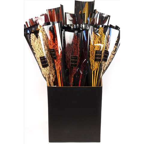 Second Nature 24 in. Milo/Millet Dried Floral Stems Bouquet, Pack of 24