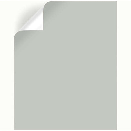 Magnolia Home by Joanna Gaines Wedding Band Peel & Stick Color Sample, Pack of 25