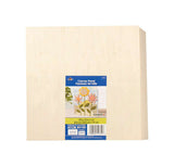 Plaid 0.75 in. H X 10 in. W X 10 in. L Natural Beige Wood Canvas Panel, Pack of 2