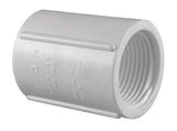 Charlotte Pipe Schedule 40 3/4 in. FPT X 3/4 in. D FPT PVC Coupling 1 pk, Pack of 25