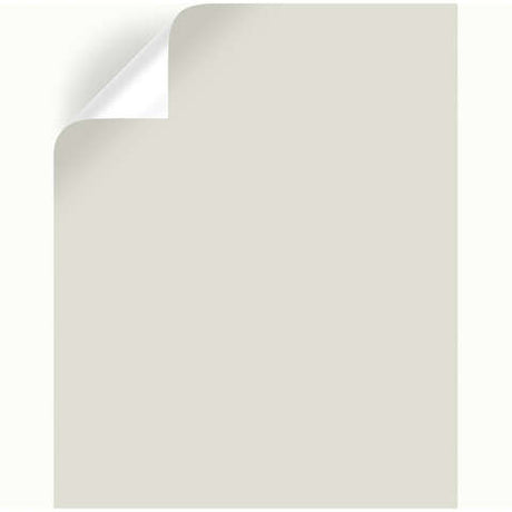 Magnolia Home by Joanna Gaines One Horn White Peel & Stick Color Sample, Pack of 25